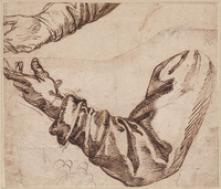 A+ 015
<br/>
Studies van armen en handen
<br/>
<em>Passerotti, Bartolomeo (1529-1592)</em>